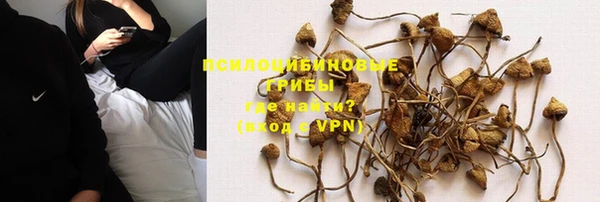 эйфоретик Алзамай