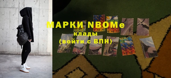 молекула духа Протвино