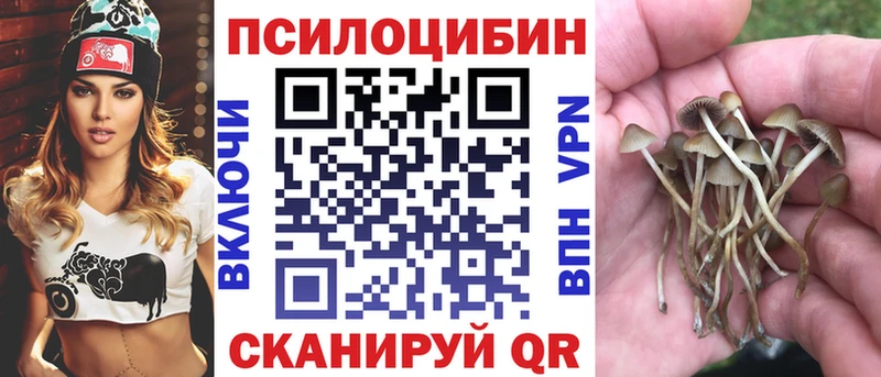 Псилоцибиновые грибы Psilocybine cubensis  хочу наркоту  Елизово 